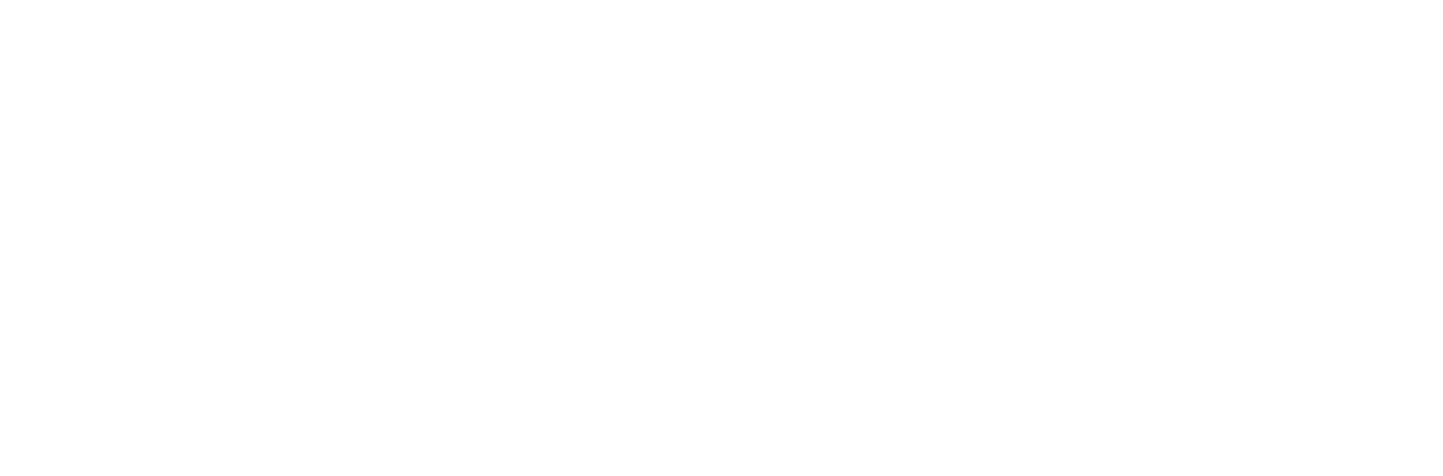 VANECK RACING logo